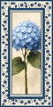Image Not Available